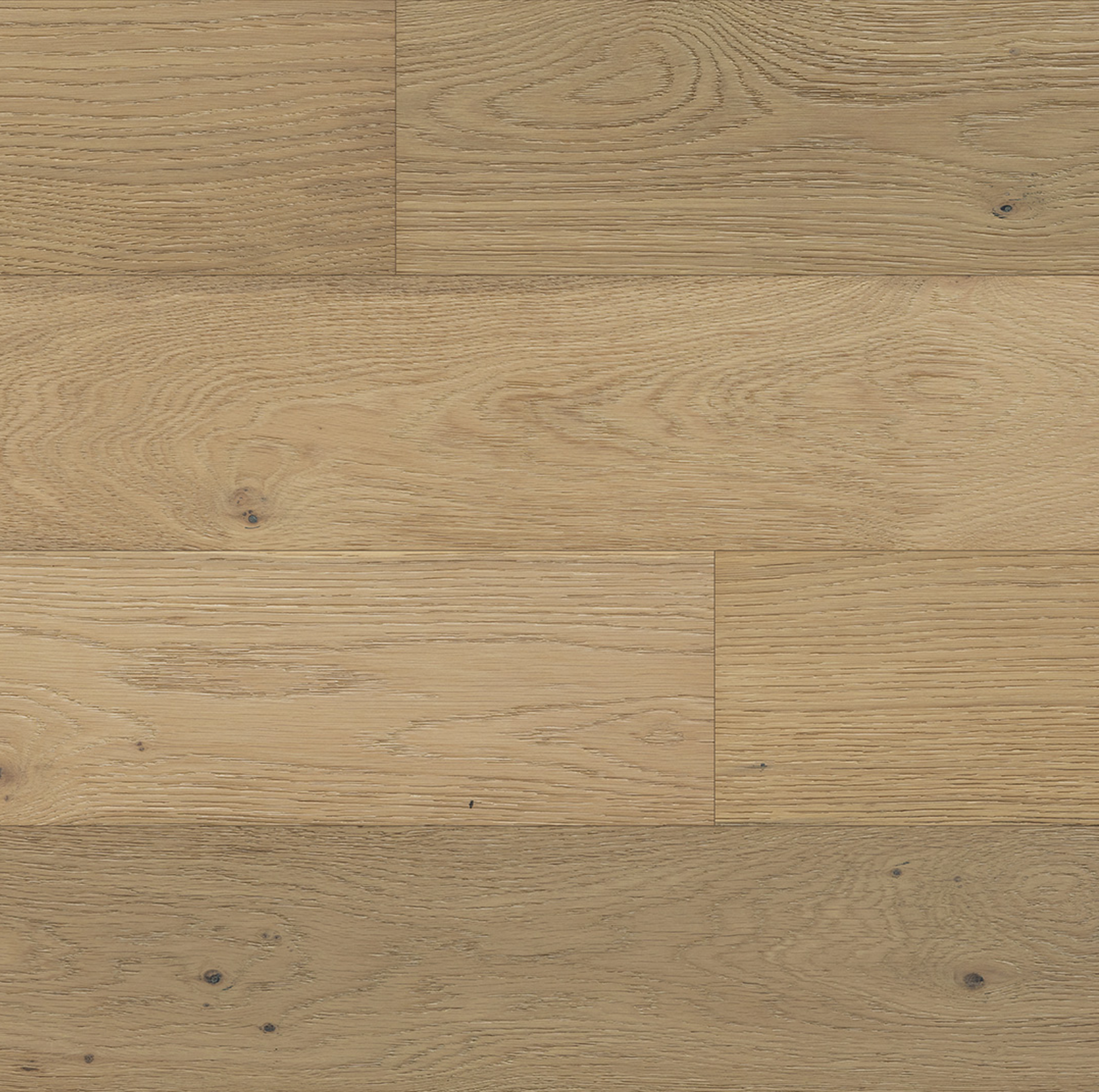 エンザイン フローラ EngineeredGrandPrairieVenice.