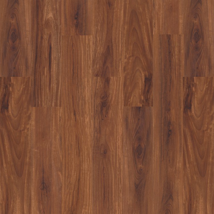 SPC ACACIA SAMBA BROWN - ARLINGTON COLLECTION