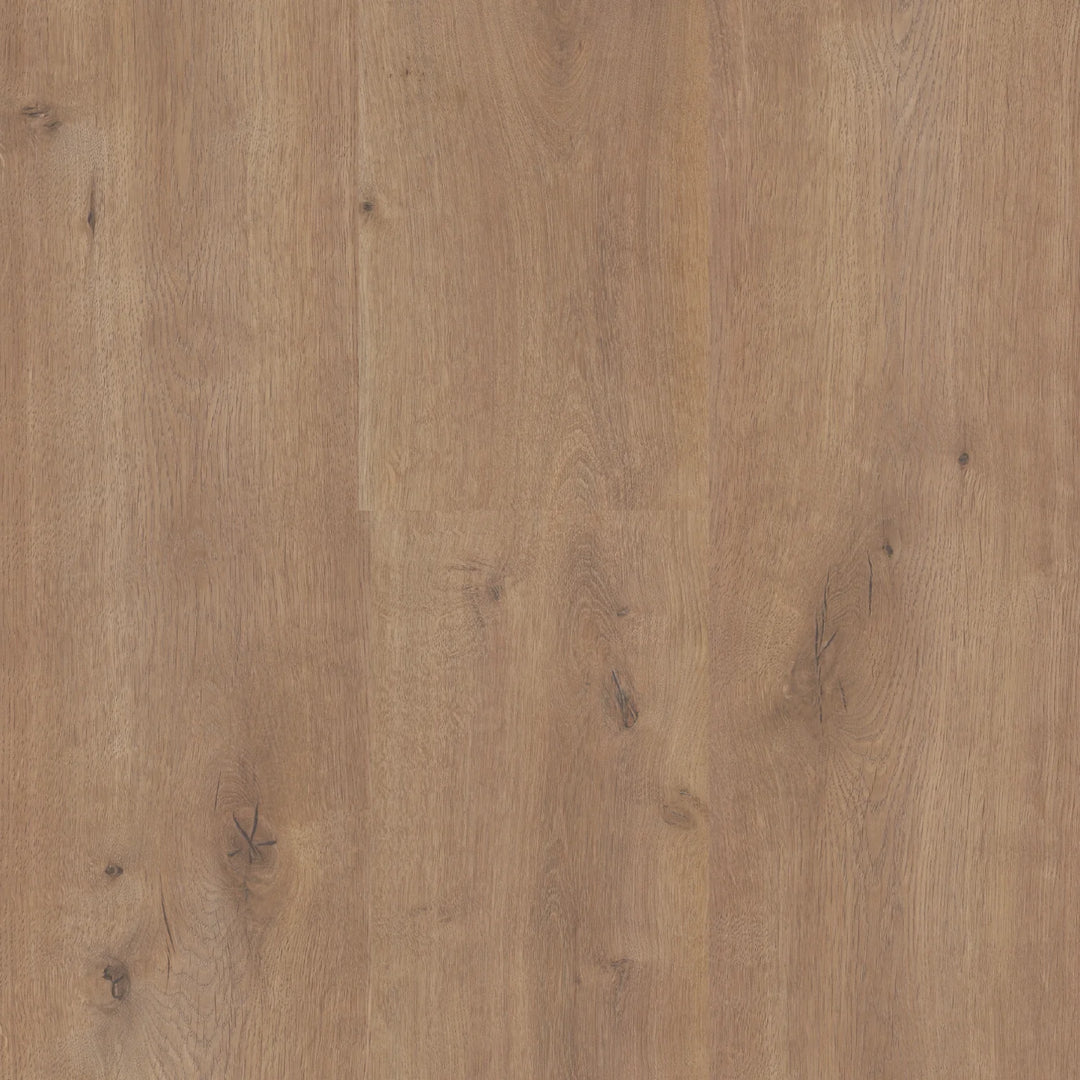 TimbrCORE LAMINATE | SEQUOIA SPRING LAKE