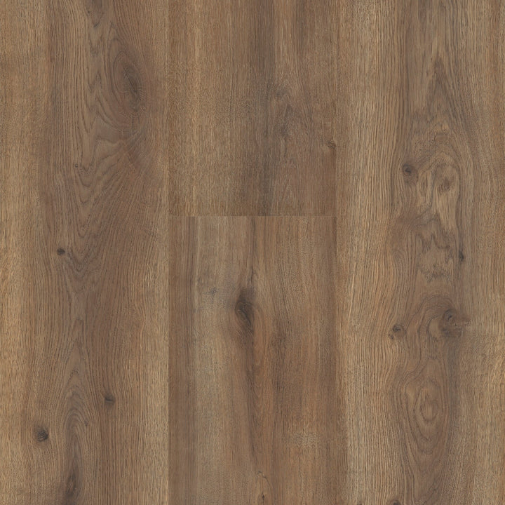 TimbrCORE LAMINATE | SEQUOIA LIVE OAK