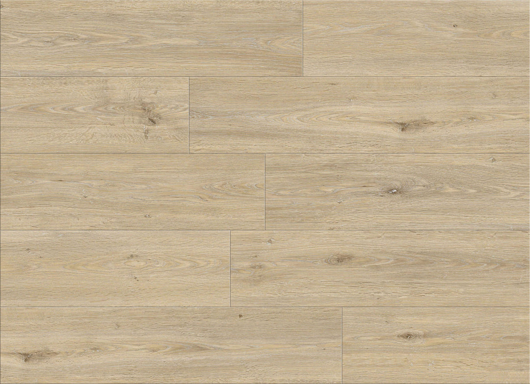 SPC CEDAR FALLS | ALLURING COLLECTION [NEW]