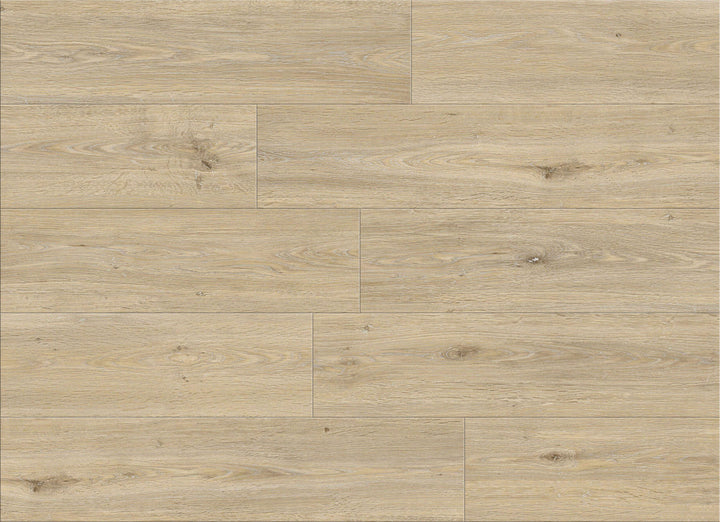SPC CEDAR FALLS | ALLURING COLLECTION [NEW]