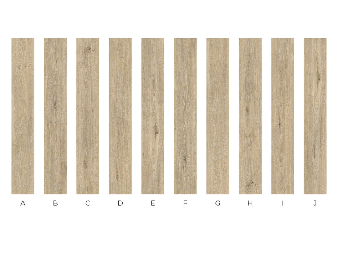 SPC CEDAR FALLS | ALLURING COLLECTION [NEW]