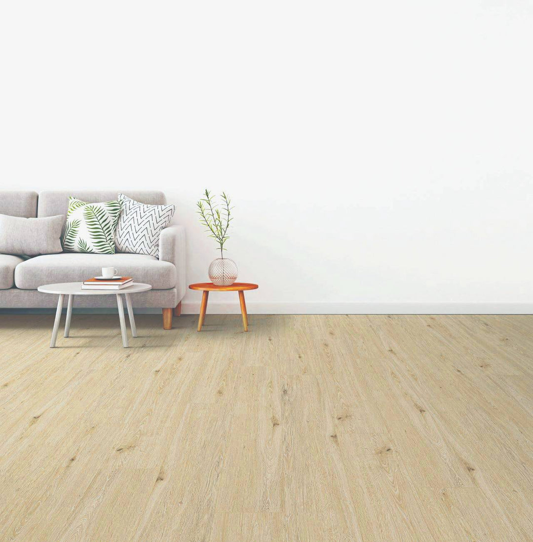 SPC CEDAR FALLS | ALLURING COLLECTION [NEW]