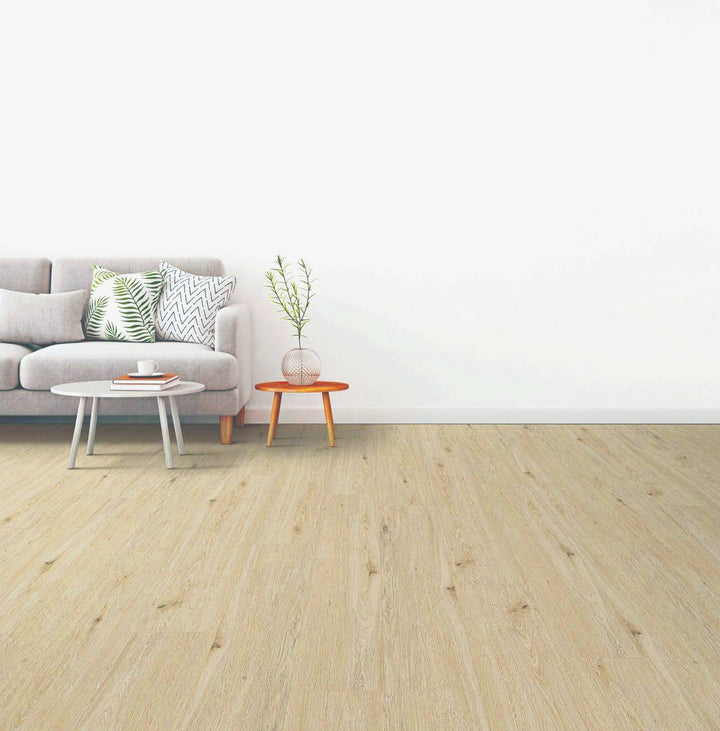 SPC CEDAR FALLS | ALLURING COLLECTION [NEW]