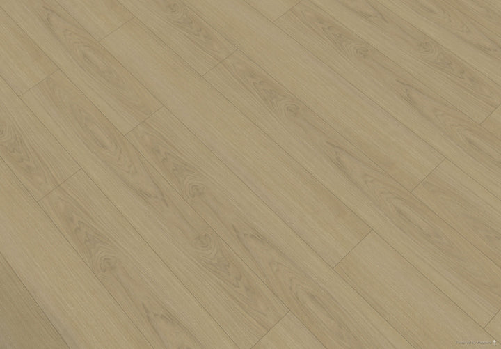 EVOLUX BLONDE | 7" x 48"  IRIS COLLECTION