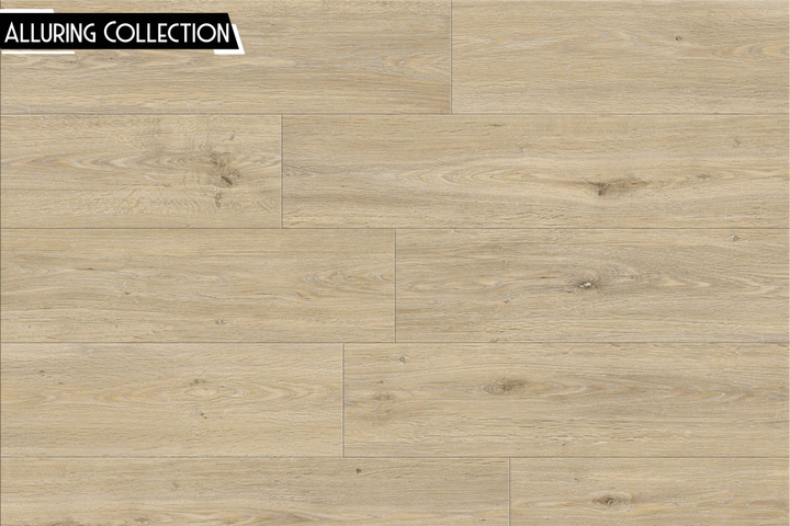 SPC CEDAR FALLS | ALLURING COLLECTION [NEW]
