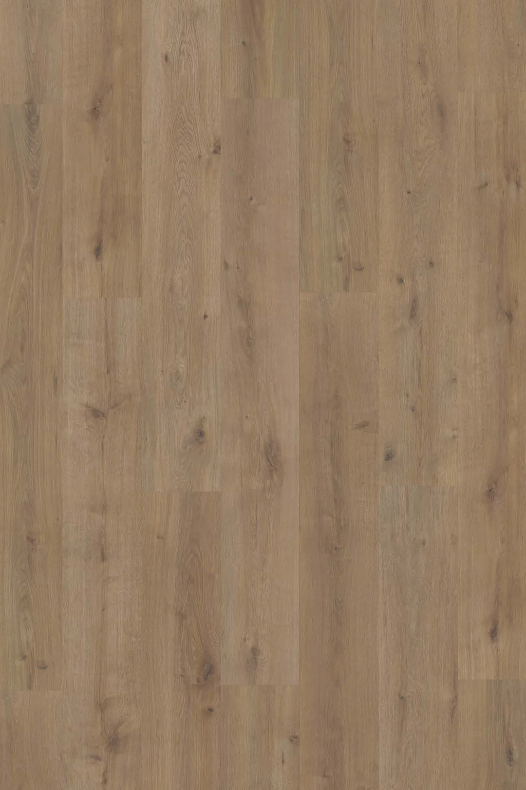 TimbrCORE LAMINATE | SEQUOIA EAGLE SCOUT