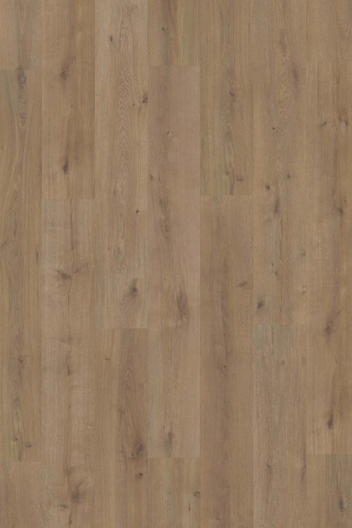 TimbrCORE LAMINATE | SEQUOIA EAGLE SCOUT