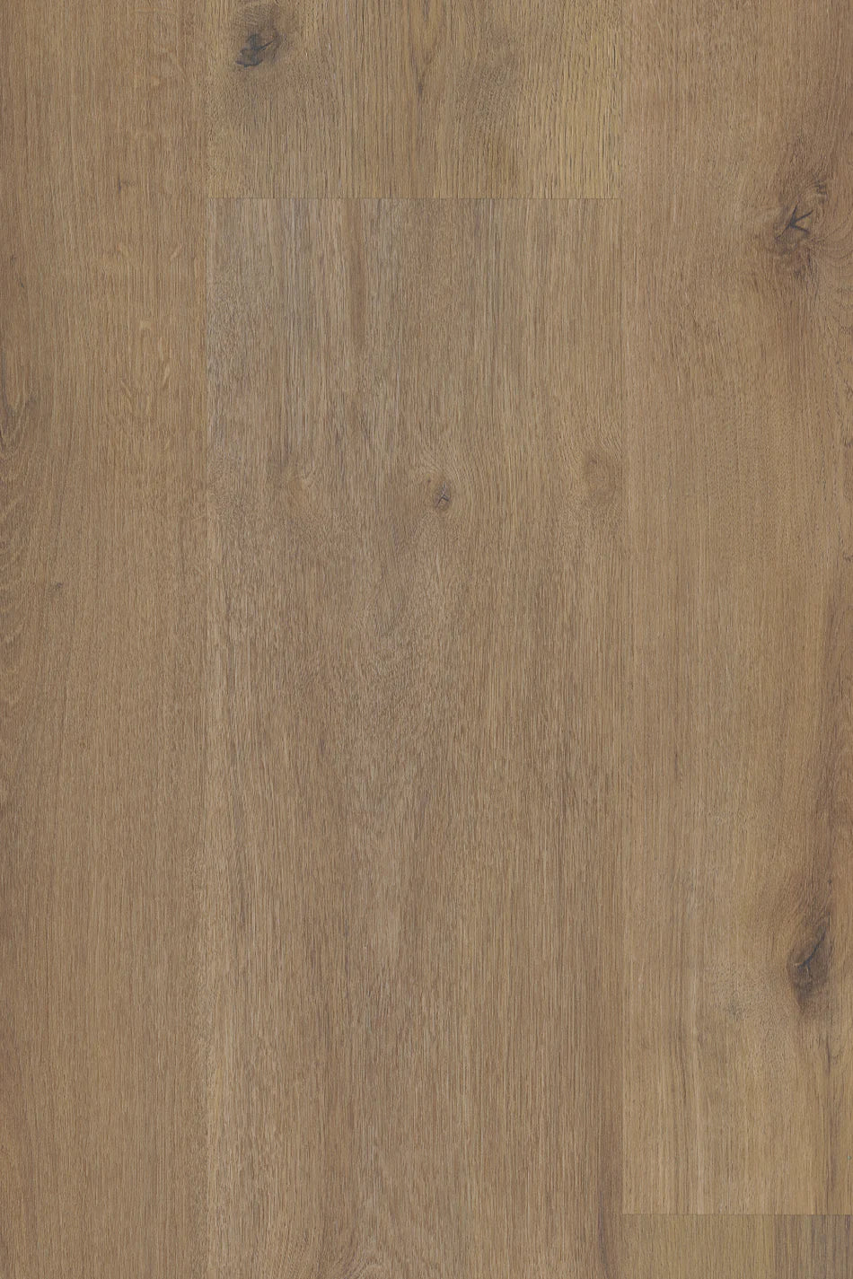 TimbrCORE LAMINATE | SEQUOIA EAGLE SCOUT