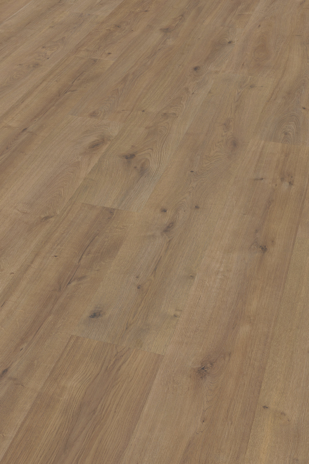 TimbrCORE LAMINATE | SEQUOIA EAGLE SCOUT